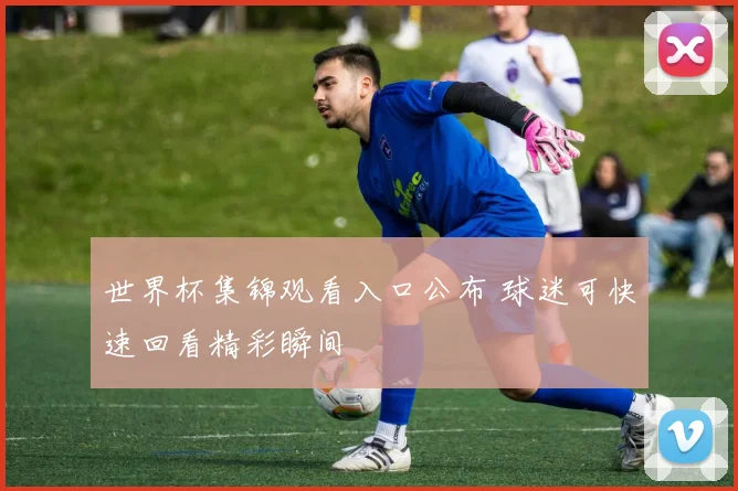 世界杯集锦观看入口公布 球迷可快速回看精彩瞬间