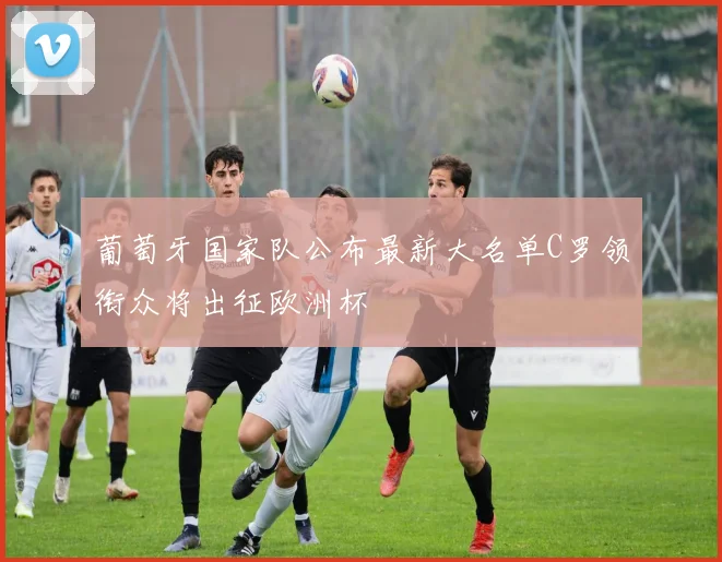 葡萄牙国家队公布最新大名单C罗领衔众将出征欧洲杯