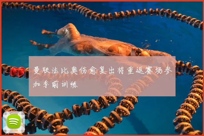 曼联法比奥伤愈复出将重返赛场参加季前训练