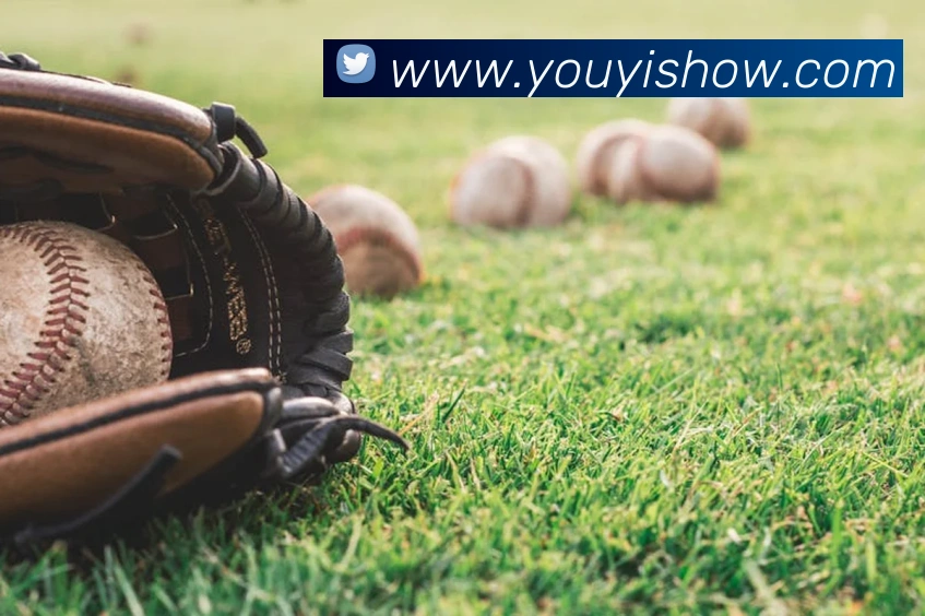 开云app官方入口网页版平台生态图