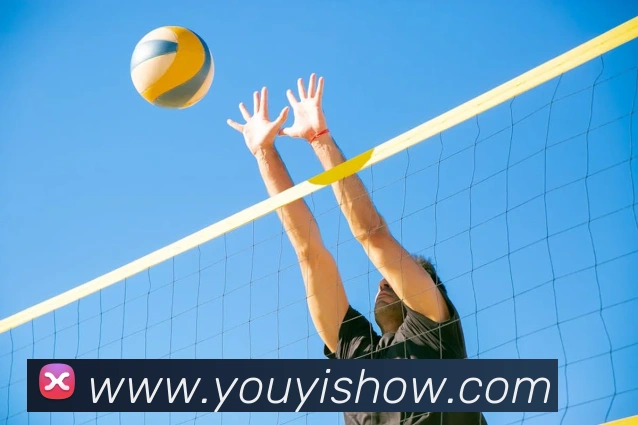 开云app官方入口网页版APP 封面图